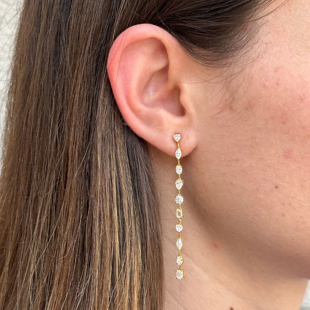 Multi Shape Duster Earrings