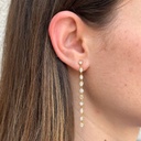 Multi Shape Duster Earrings