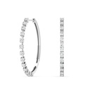 Large Orbit Hoops