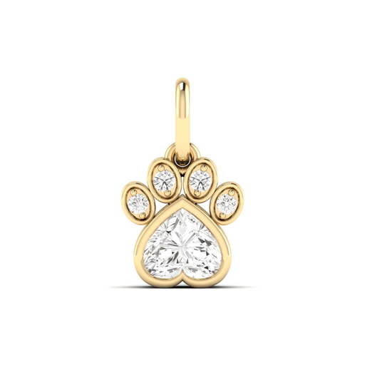 [P257] Paw Charm