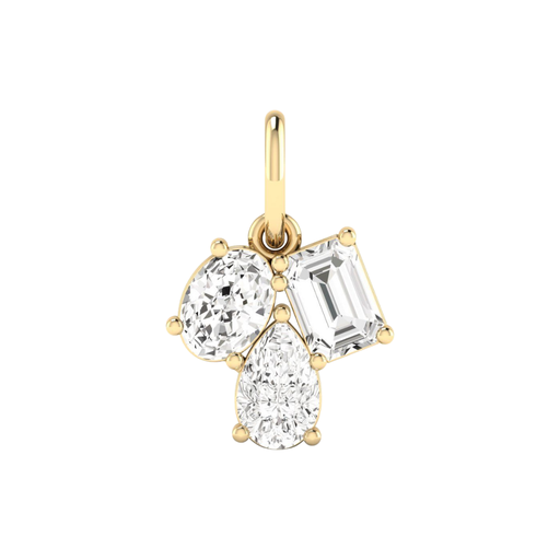 [P465] Multi Shape Cluster Charm