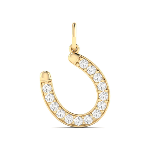 [P526] Horseshoe Charm