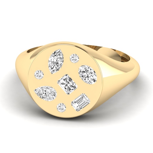 [RF544] Multi Shape Inlay Signet Ring