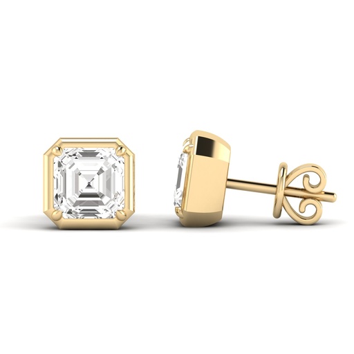 [E269ASH] Gold Frame Asscher Studs